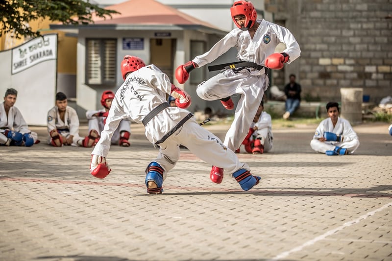 Tae Kwon Do Self-Defense